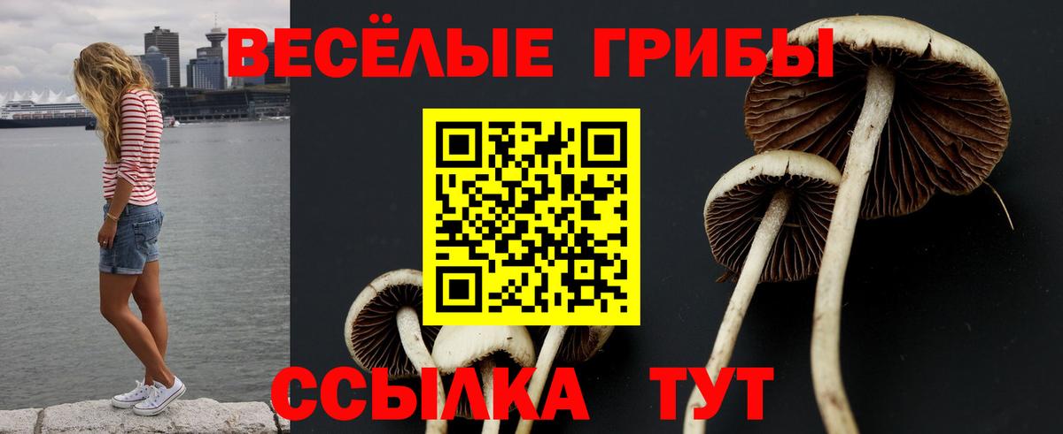 Галлюциногенные грибы Psilocybine cubensis Жигулёвск